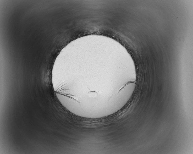 X0000096151156200802151348