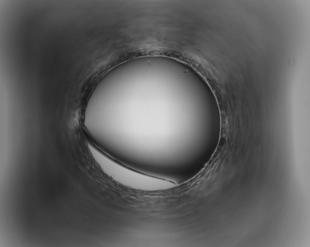 X0000096151157200802151348