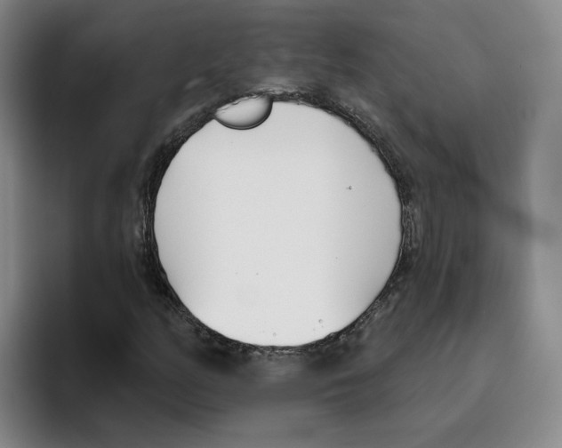 X0000096151158200802151348