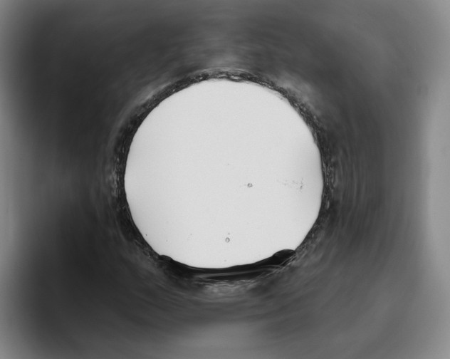 X0000096151159200802151348