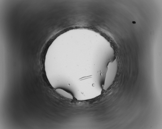 X0000096151160200802151348