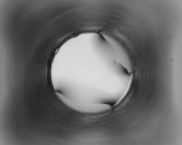 X0000096151161200802151348