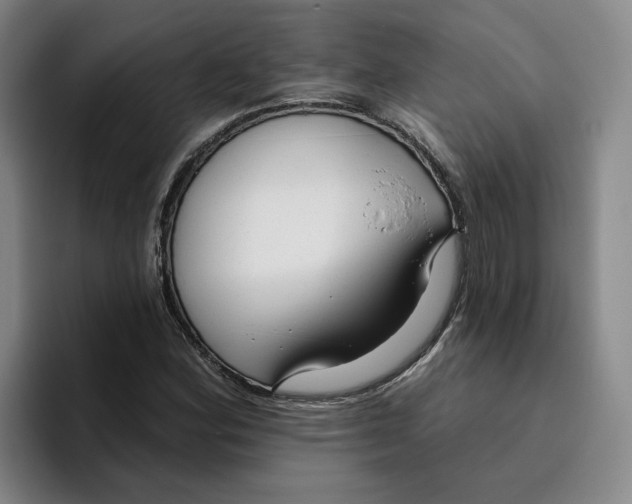 X0000096151164200802151348