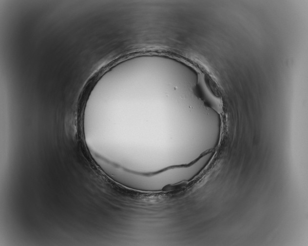 X0000096151165200802151348