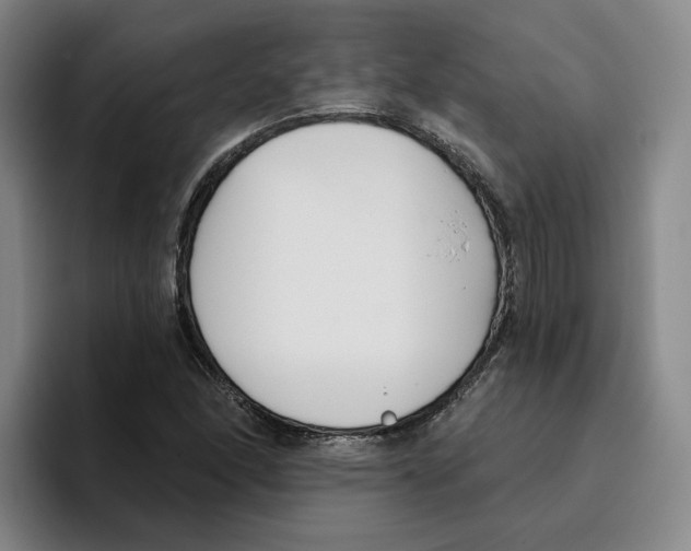 X0000096151166200802151348