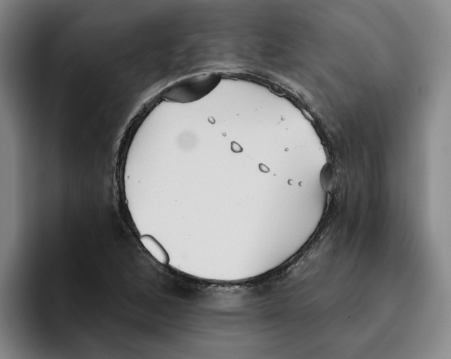 X0000096151168200802151348