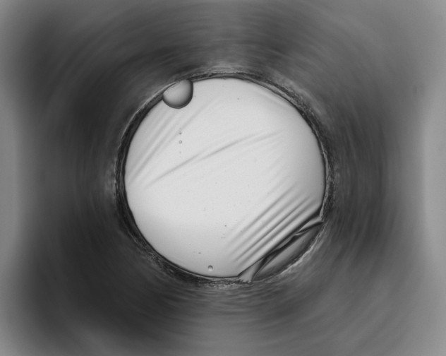 X0000096151170200802151348