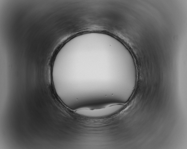 X0000096151171200802151348