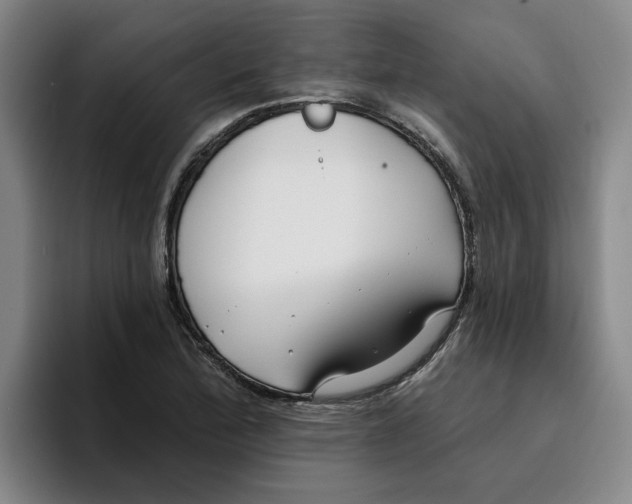 X0000096151172200802151348