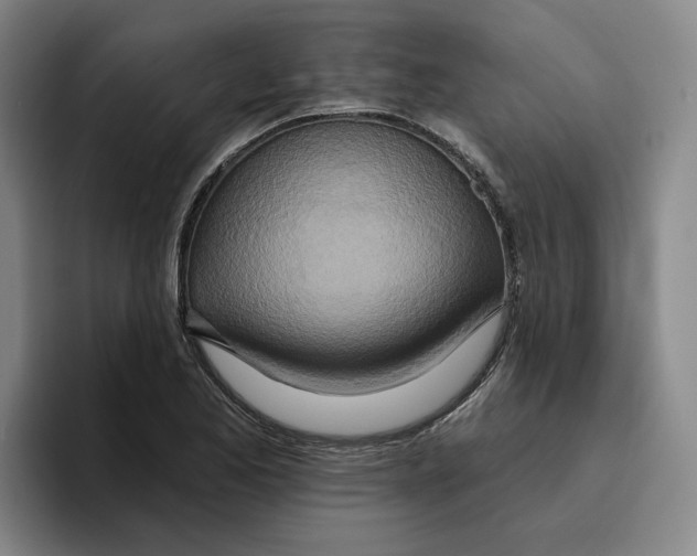 X0000096151173200802151348