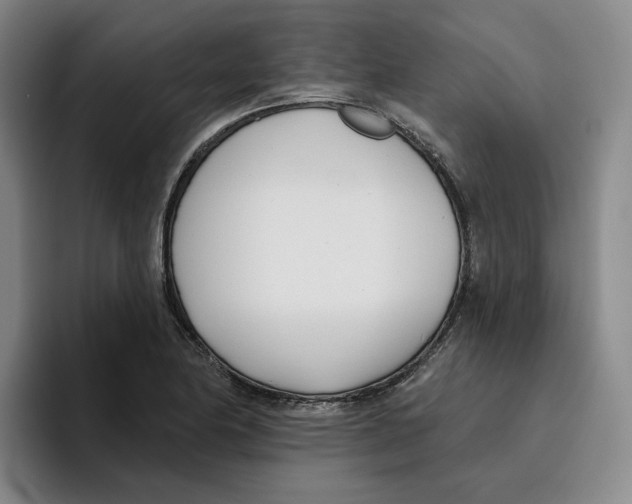 X0000096151174200802151348