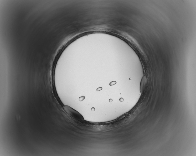 X0000096151176200802151348