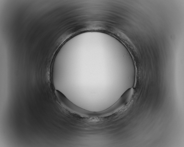 X0000096151177200802151348