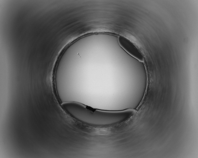 X0000096151181200802151348