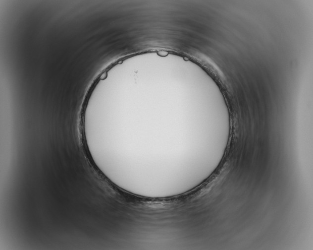 X0000096151182200802151348