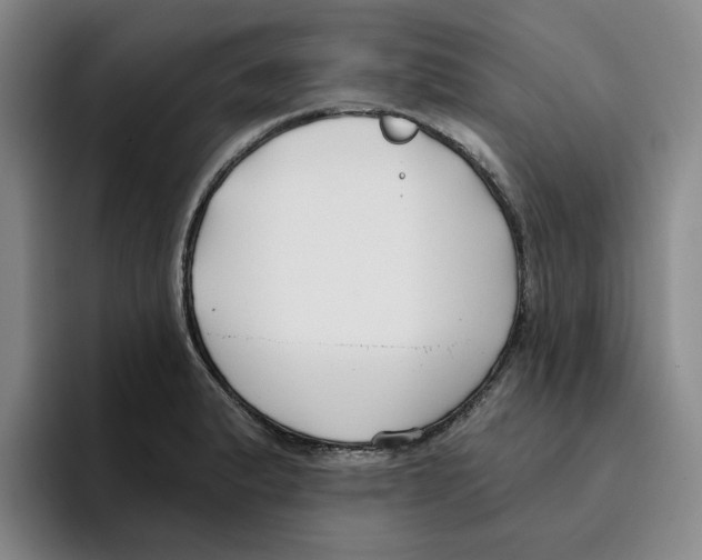 X0000096151183200802151348