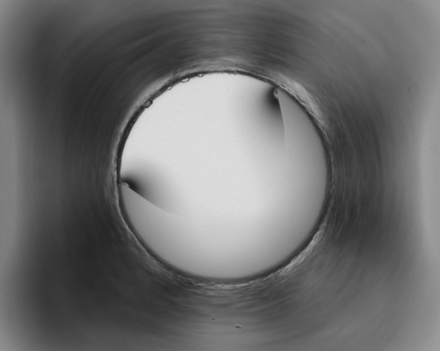 X0000096151184200802151348