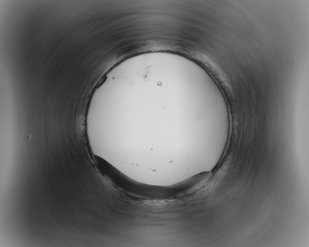 X0000096151185200802151348