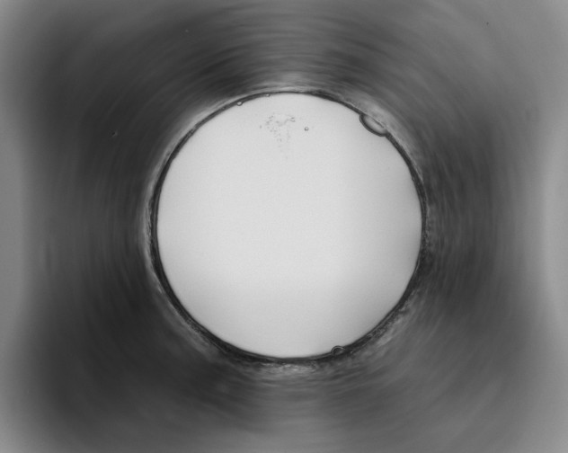 X0000096151187200802151348