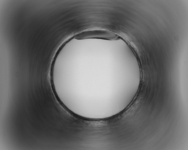 X0000096151189200802151348