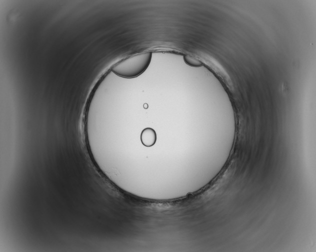 X0000096151190200802151348