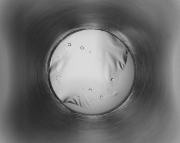 X0000096151192200802151348