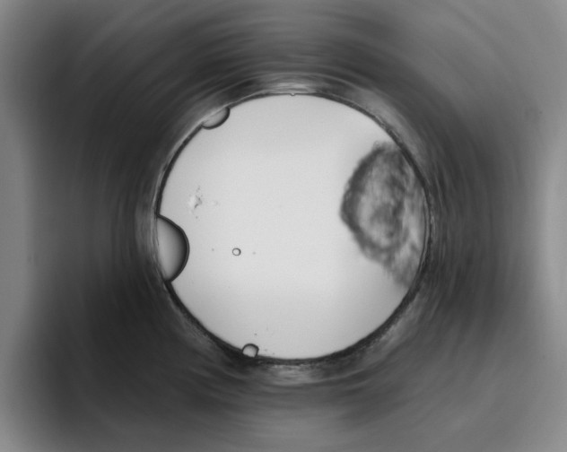 X0000096151194200802151348