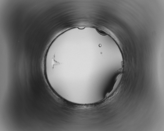 X0000096151195200802151348