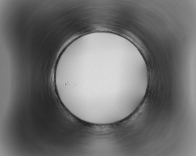 X0000096151198200802151348