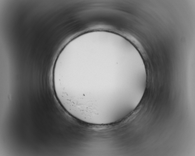 X0000096151199200802151348