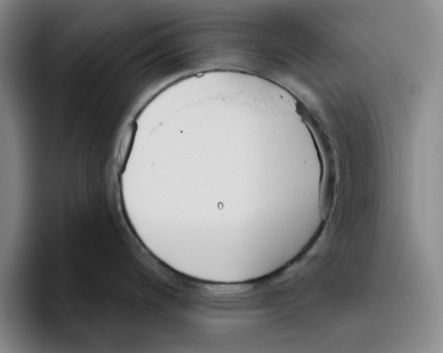 X0000096151200200802151348