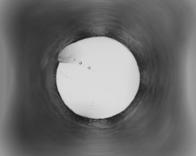 X0000096151201200802151347