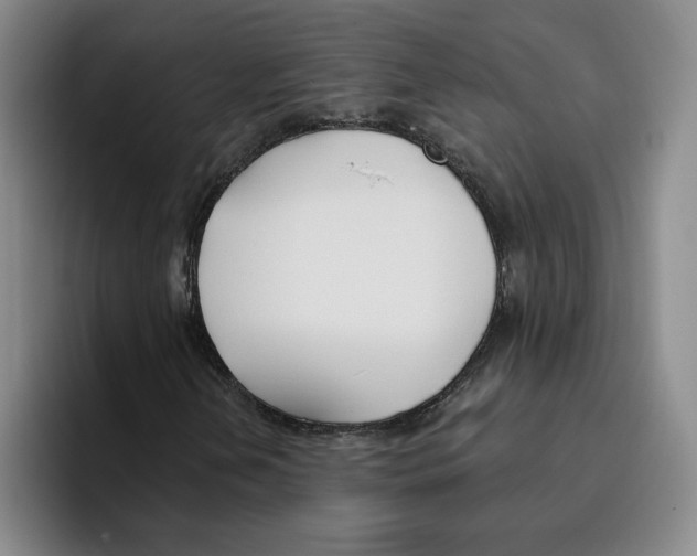 X0000096151202200802151347