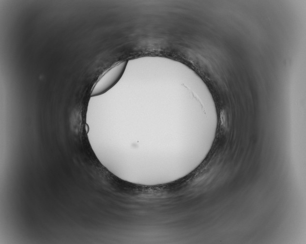 X0000096151203200802151347