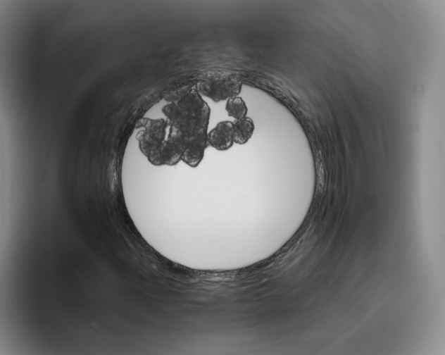 X0000096151204200802151347