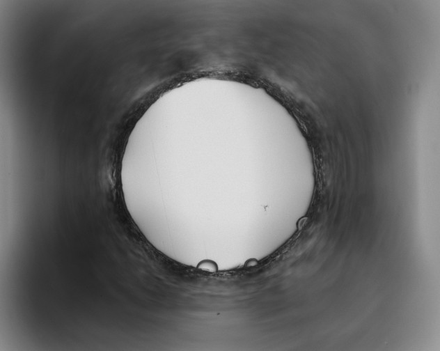 X0000096151206200802151347