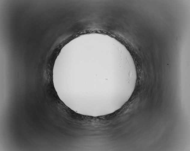 X0000096151207200802151347