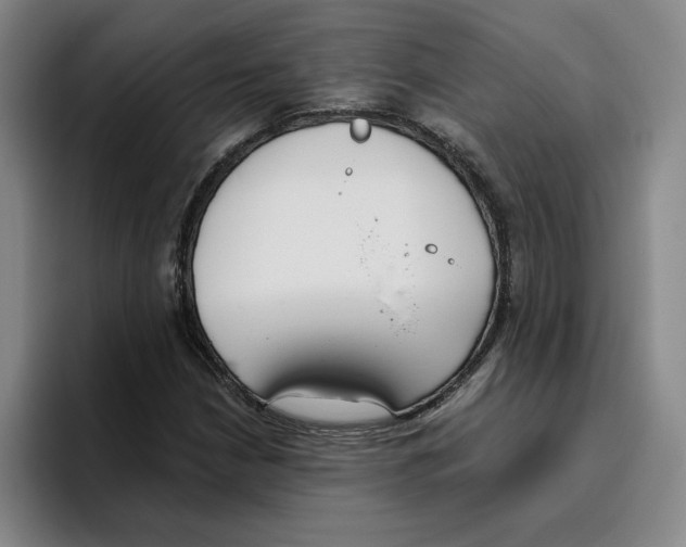 X0000096151210200802151347