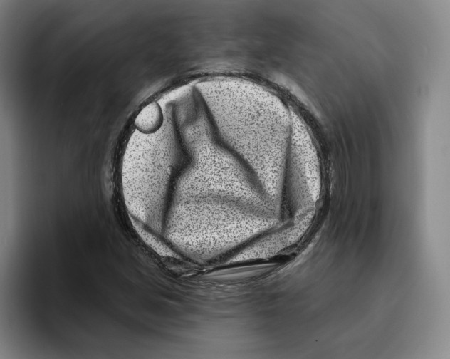 X0000096151213200802151347