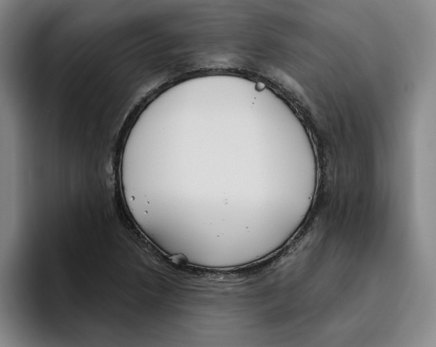 X0000096151218200802151347