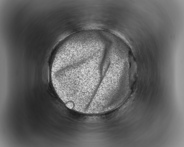 X0000096151219200802151347