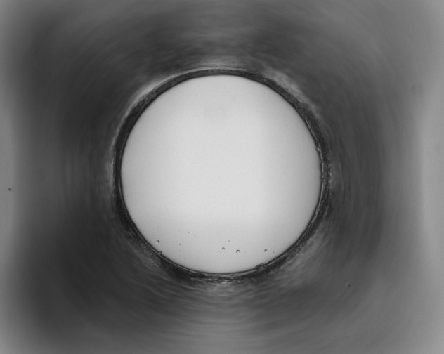 X0000096151222200802151347