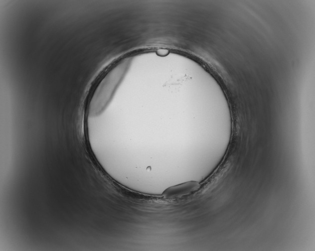 X0000096151224200802151348