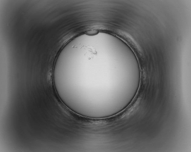 X0000096151225200802151348