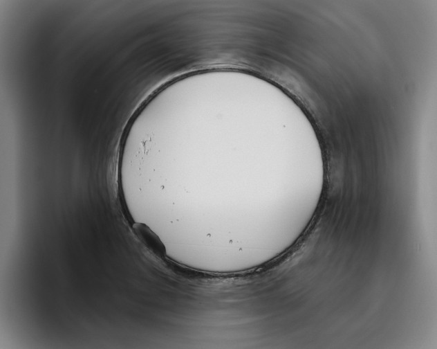 X0000096151228200802151348