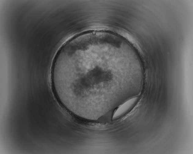 X0000096151229200802151348