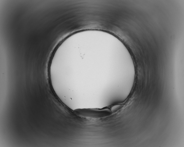 X0000096151230200802151348