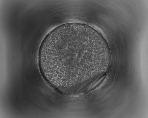 X0000096151231200802151348