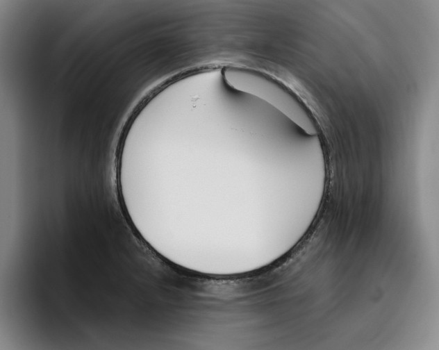 X0000096151232200802151348