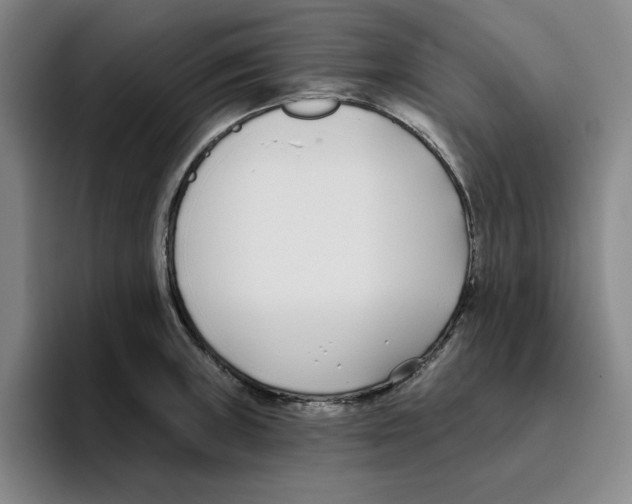 X0000096151235200802151348